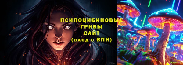 ПСИЛОЦИБИНОВЫЕ ГРИБЫ Абдулино
