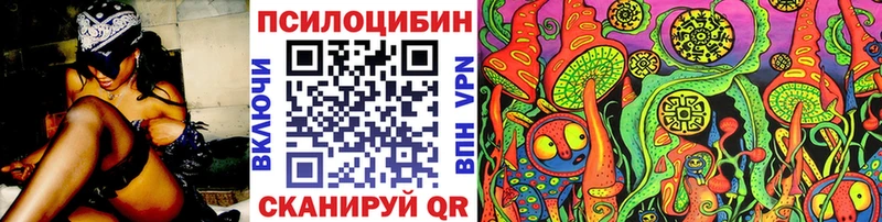 купить наркоту  Кораблино  Галлюциногенные грибы MAGIC MUSHROOMS 